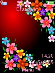 Multicoloured Flowers W595  theme