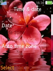 Pink flower 