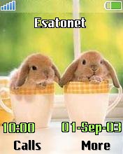 Cute Rabbits k700 theme