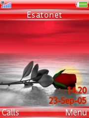 Rose K800 / K800i theme