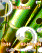 Flute W300 / W300i theme