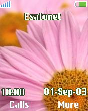 Flowers k700 theme