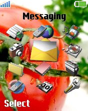 Tomato