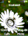 Music Garden animated K310 / K310i theme
