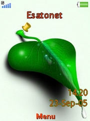 Memo leaf theme for Sony Ericsson zylo