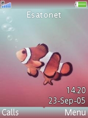 Clownfish theme for Sony Ericsson K800