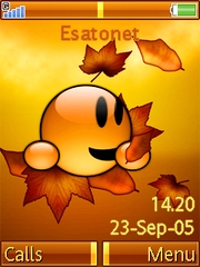 Autumn smile W830 theme