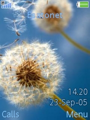 Dandelion dance W880  theme
