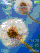 Dandelion dance W880  theme
