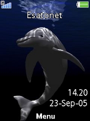 Dolphin theme for Sony Ericsson zylo