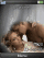 Couple animated W705  theme
