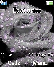 Rose K530  theme