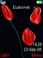 Red flowers K770  theme