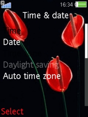 Red flowers 
