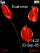 Red flowers animated K770  theme