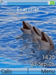 Dolphins W580 theme