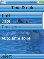Dolphins 
