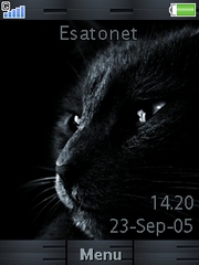 Black Cat Cedar  theme