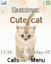 Cute Cat K530  theme