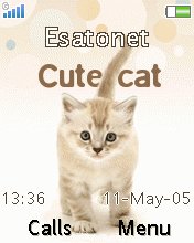 Cute Cat W380  theme