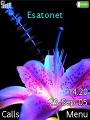 Final Flower V1.2 W580 theme