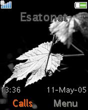Sun on a Leaf K550  theme