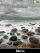 Rock beach Cedar  theme
