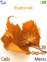 Autumn feaf K800 / K800i theme