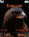 Eagle K610  theme