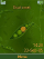 Pea in pod Cedar  theme