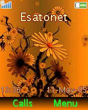Orange Flower K550  theme