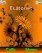 Orange Flower K550  theme
