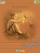 Gold C510  theme