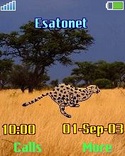 Cheetah  MadDog k700 theme