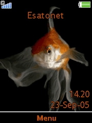 Gold fish theme for Sony Ericsson zylo