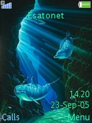 Dolphin dream W888  theme
