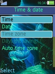Dolphin dream 