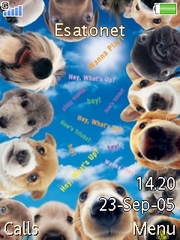 Cute Puppies W830 theme