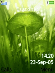 Grenouille K770  theme