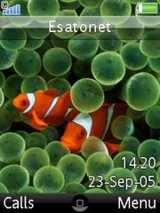 I-phone K770  theme