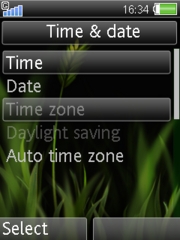 Grass 