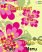 Flowers W710  theme