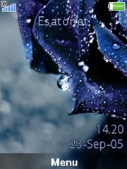 Blue rose theme for Sony Ericsson K850