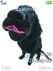 Dogs K800 / K800i theme