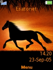 Horse  theme