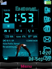 Internal data theme for Sony Ericsson W980