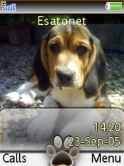 Dino little dog K810 theme