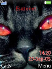 Cat W888  theme