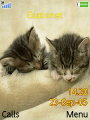Kittens K800 / K800i theme