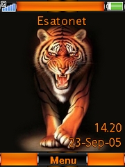 Tiger Cedar  theme